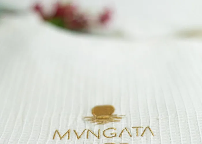 Mvngata Playa del Carmen