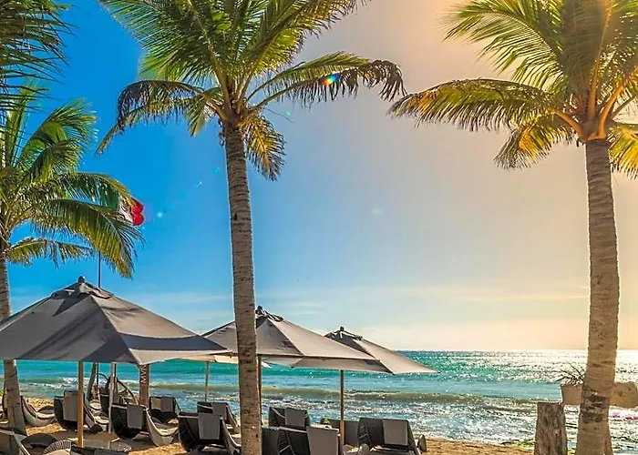 Mvngata 5* Playa del Carmen