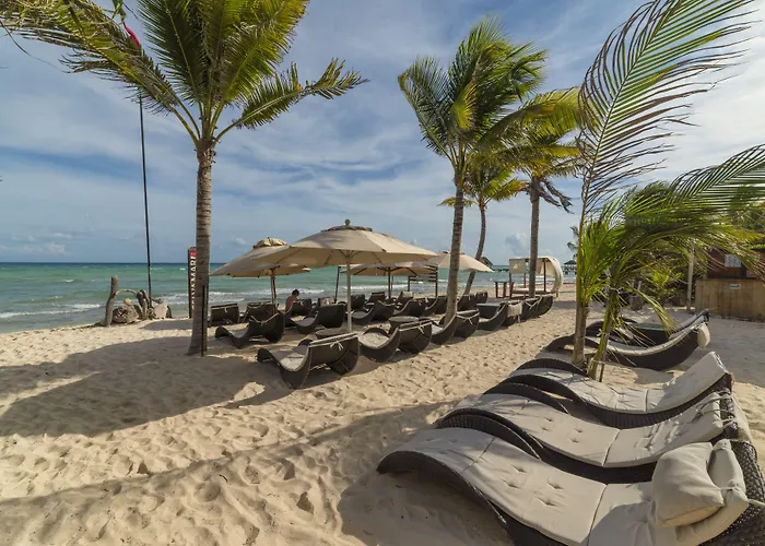 Mvngata Playa del Carmen